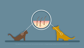 SOPORTE DE LA PIEL Y EL PELO